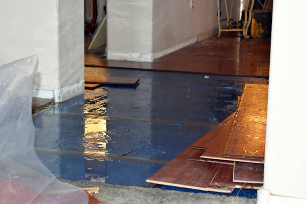 Professional Sewage Cleanup technician working in Richmond, MI